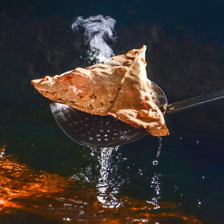 20180130-AR1_6439-2 (1)